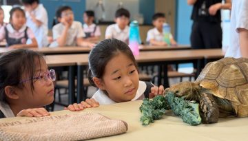 AY2526_P3 Jurassic Garage_04