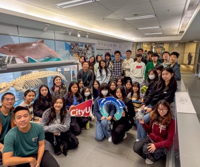 AY2526_DP Learning Journey_01