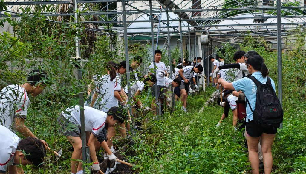 AY2526_S1S2 Sustainable Service Learning_Cover