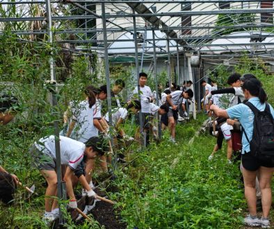 AY2526_S1S2 Sustainable Service Learning_Cover